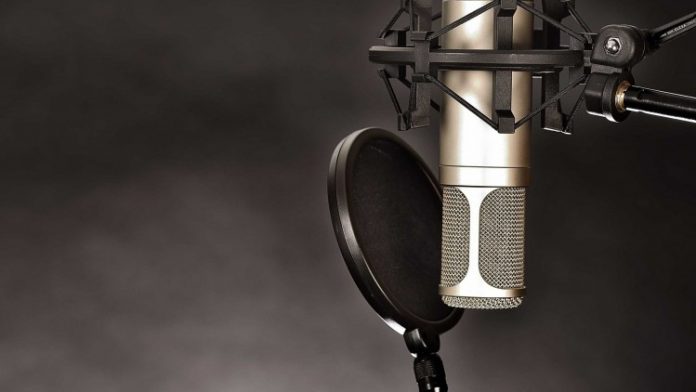 career in voice-over