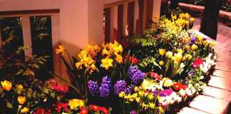 Floral Designing
