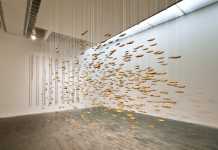 Installation Artists