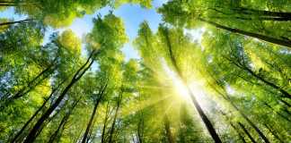 Environment