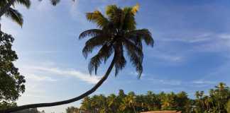 Romantic destinations to travel in India