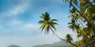 World Destinations
