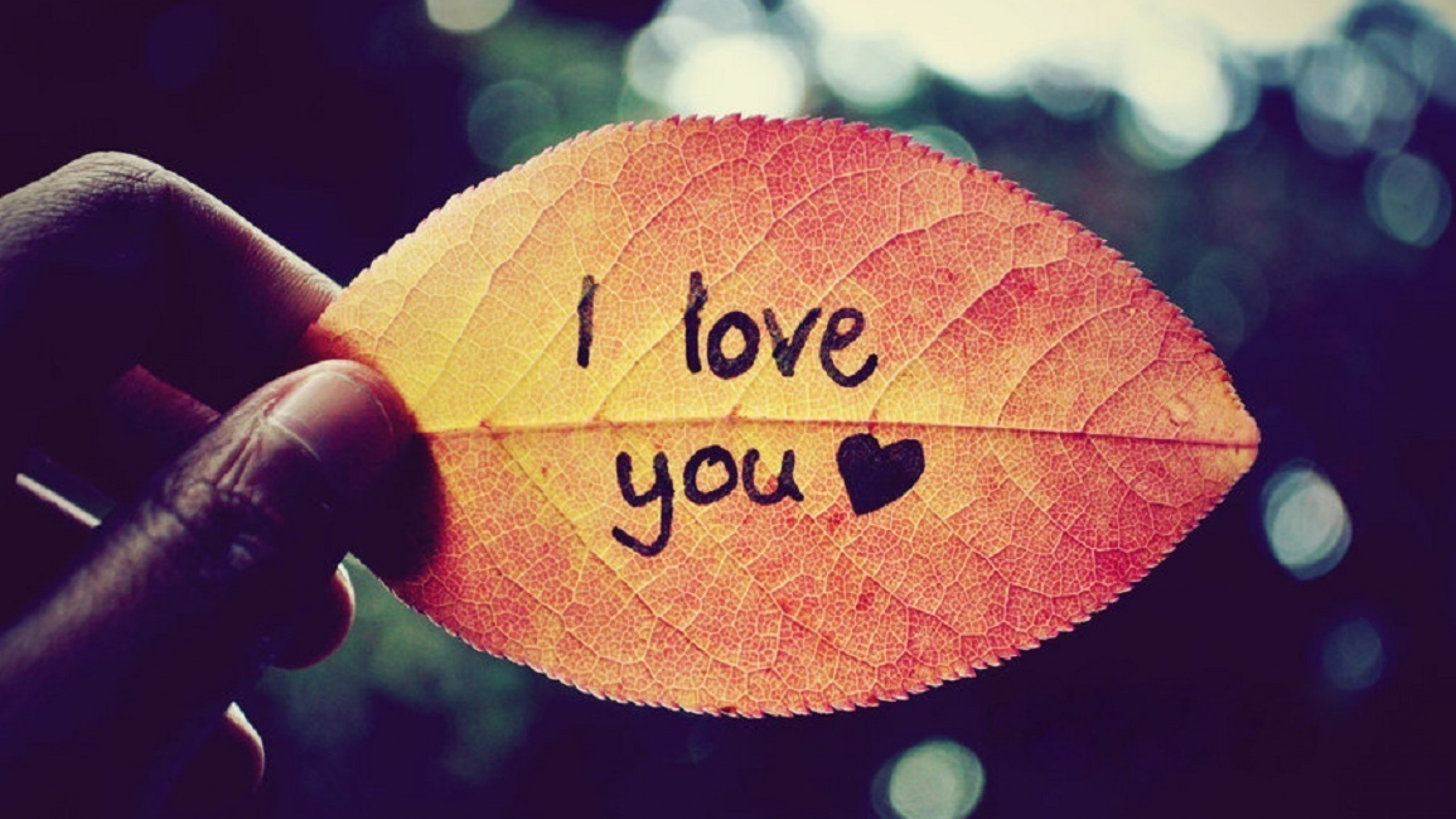 love