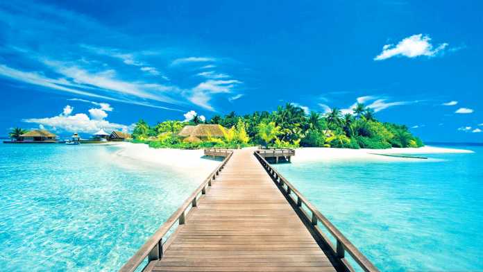 Study in a tropical island