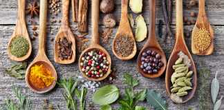 ayurveda