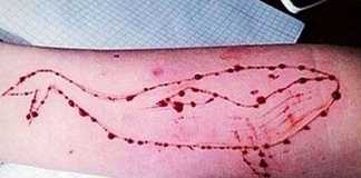Blue Whale Challenge