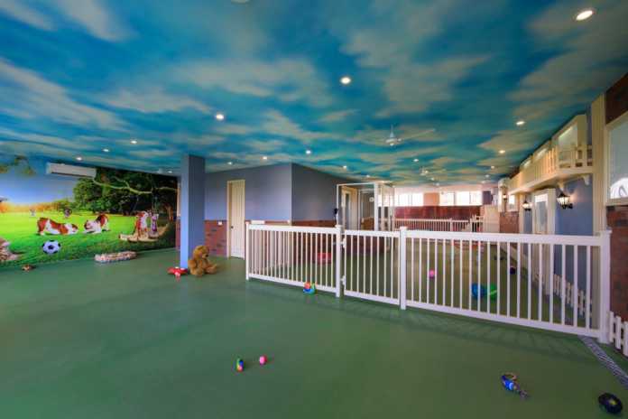 Dog Hotel