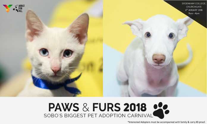 Paws and Furs 2018