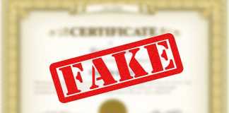 fake mark sheets