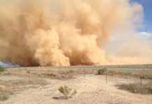 Dust Storm
