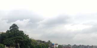Mumbaikars Choose Mangroves Over Sewage Treatment Plant