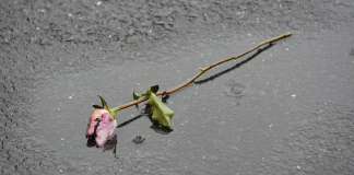acid rain