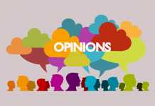 opinion