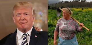 trump doppelganger