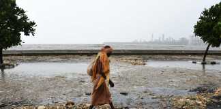 marine drive - marine drive