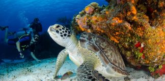 Marine Biology