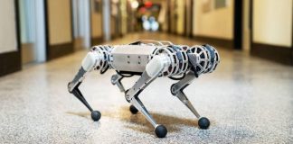 Mini Cheetah Robot