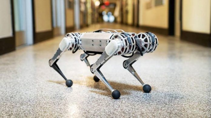 Mini Cheetah Robot