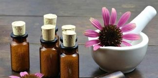 world homeopathy awareness week