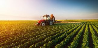 jobs in agriculture