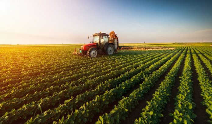 jobs in agriculture