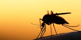 malaria vaccine Mosquirix