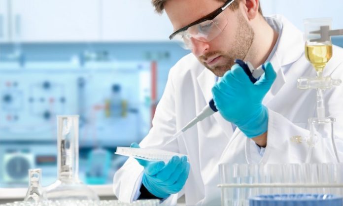 stem education