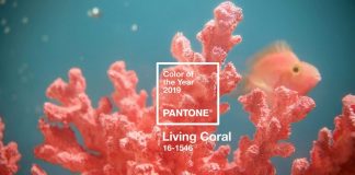 living coral color of the year