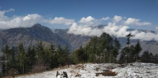 Dhauladhars