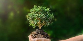 World Environment Day