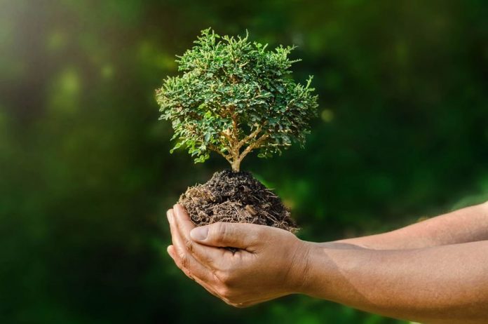 World Environment Day