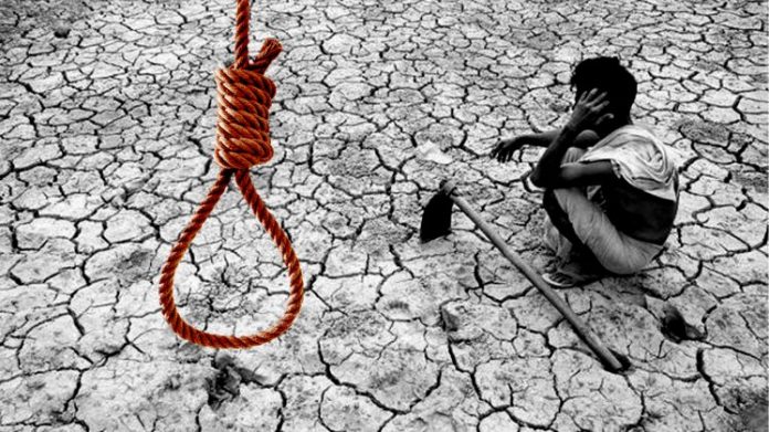 maharashtra farmer crisis