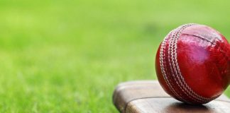 cricket and youth