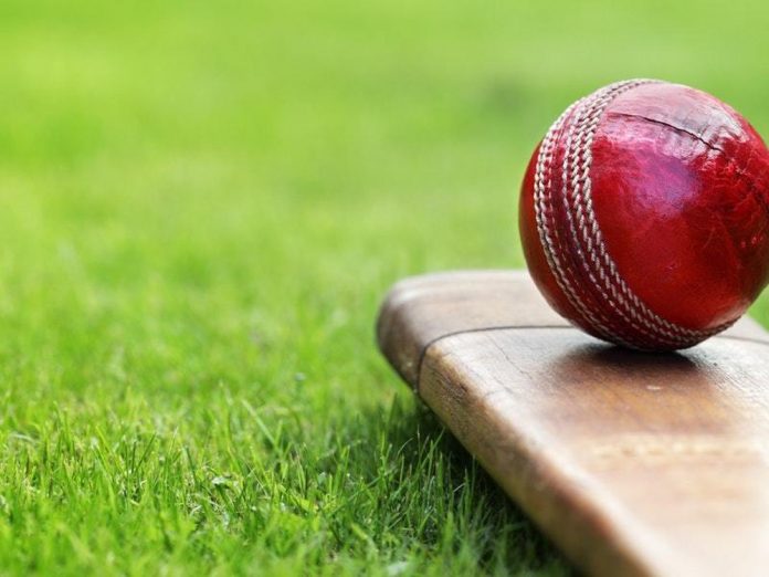 cricket and youth