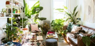 plants