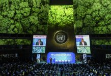 Climate Action Summit 2019