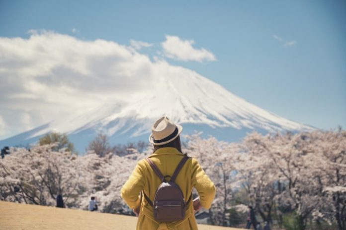 Solo traveler