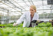 career in botany