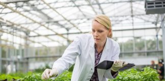 career in botany
