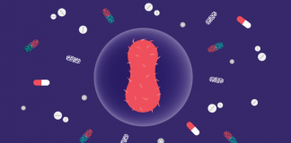 superbugs