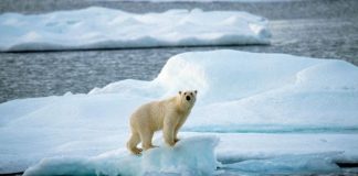 climate change