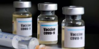 covid-19 vaccine