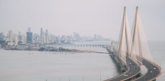 Mangrove Trees, Sea link