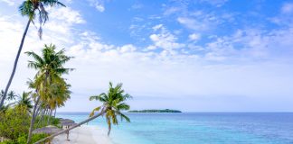 Goa and Maldives