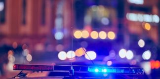 public safety sector