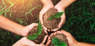 sustainable development