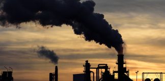 carbon market