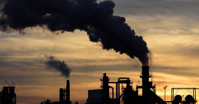 carbon market