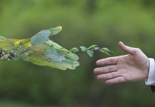 sustainability