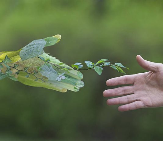 sustainability